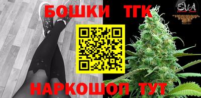 стаф Аргун