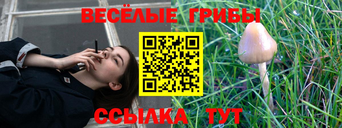 наркота  Галлюциногенные грибы Cubensis  Вход с VPN  Бийск 